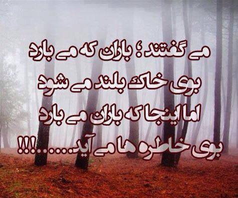 پاسخ به:اینجا همه چیز عالیه!!