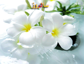 AKSGIF.IR EMAM MAHDI-تصاویر متحرک آغاز امامت امام زمان (عج)