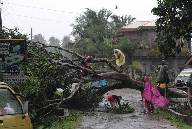 ترین ها:فیلیپین مرکز قویترین طوفان ثبت شده تاریخ