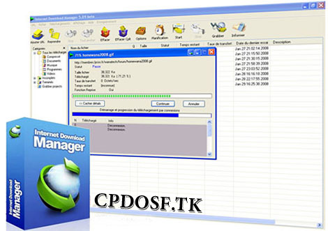 Internet Download Manager