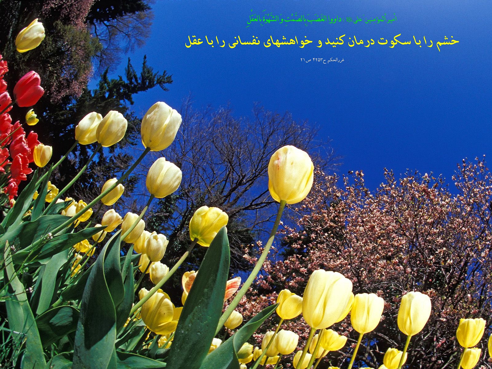 http://s5.picofile.com/file/8109261750/545454.jpg