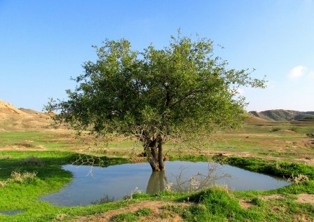http://s5.picofile.com/file/8110095934/IMG_10837_800x600_.jpg