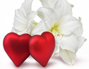 چه قدر عاشق معشوقتان هستيد 1