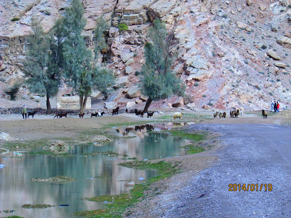 http://s5.picofile.com/file/8111063642/bedune_sharh_kahneh.jpg