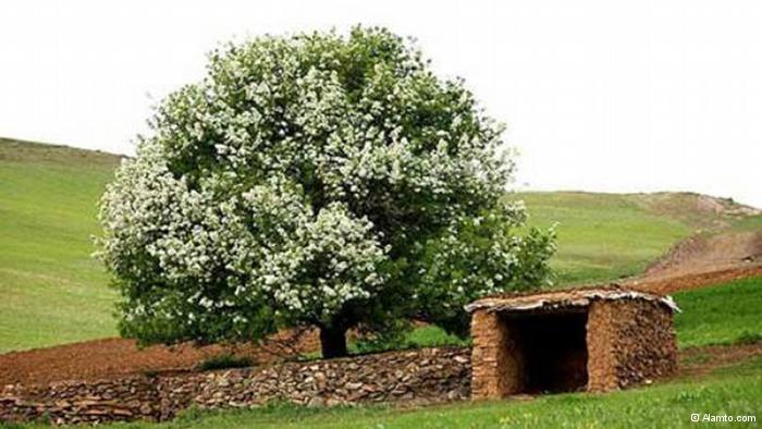 گردشگری: دیـدنی های استـان کـردستان؛ نگیـن دلفریـب ایـران گردشگری: دیـدنی های استـان کـردستان؛ نگیـن دلفریـب ایـران