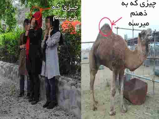 |http://uniqelove.blogfa.com|عکس,عکس شتر,کلیپس,شتر خراسانی,آخر الزمان و کلیپس|http://uniqelove.blogfa.com|