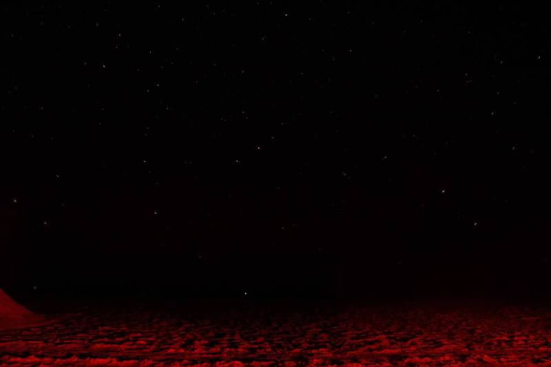reشب_کویر_2.jpg (800×534)