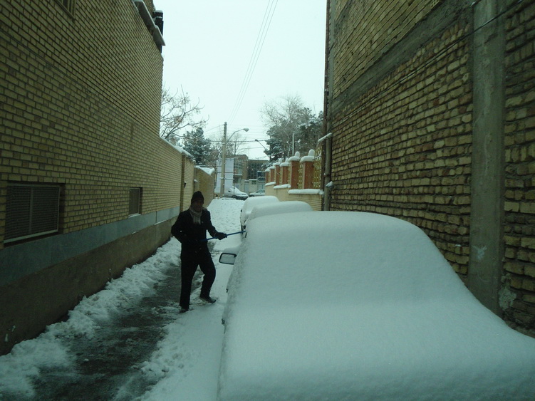 http://s5.picofile.com/file/8111838618/92_11_15_barf_1_.jpg