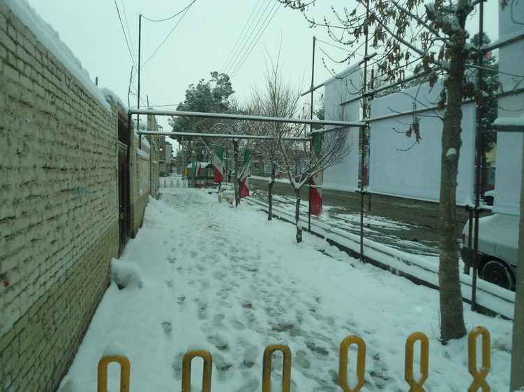 http://s5.picofile.com/file/8111838626/92_11_15_barf_2_.jpg
