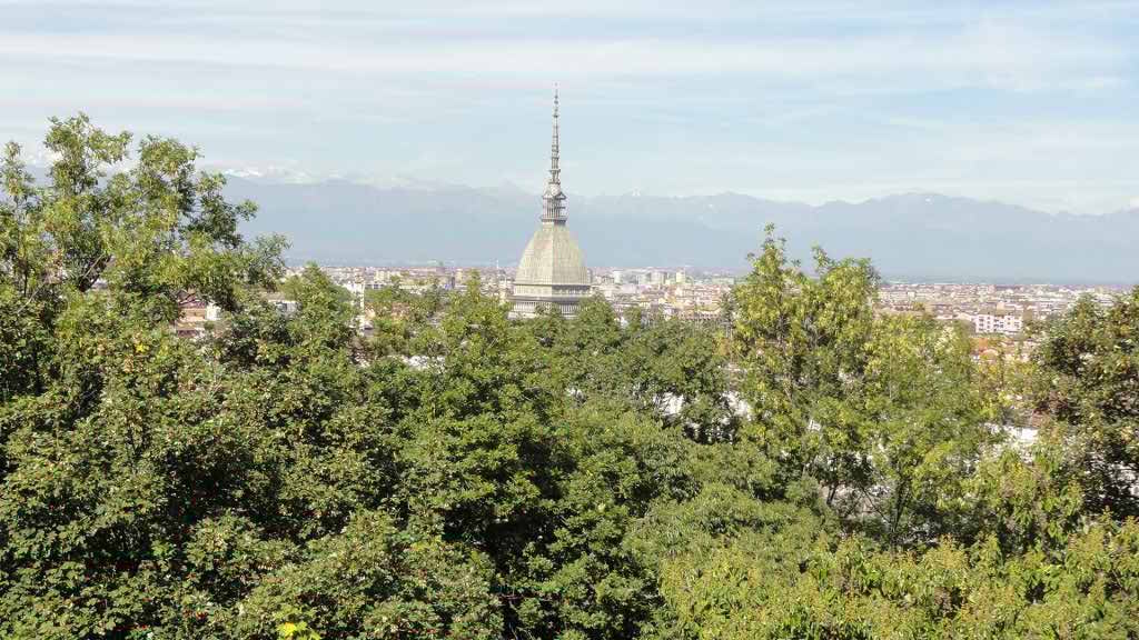 http://s5.picofile.com/file/8111952984/DSC01086.jpg