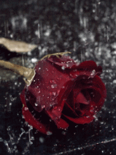 http://s5.picofile.com/file/8112021918/799226550.gif