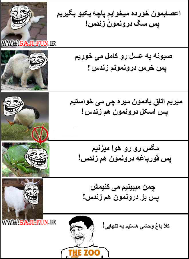 تصویر مرتبط