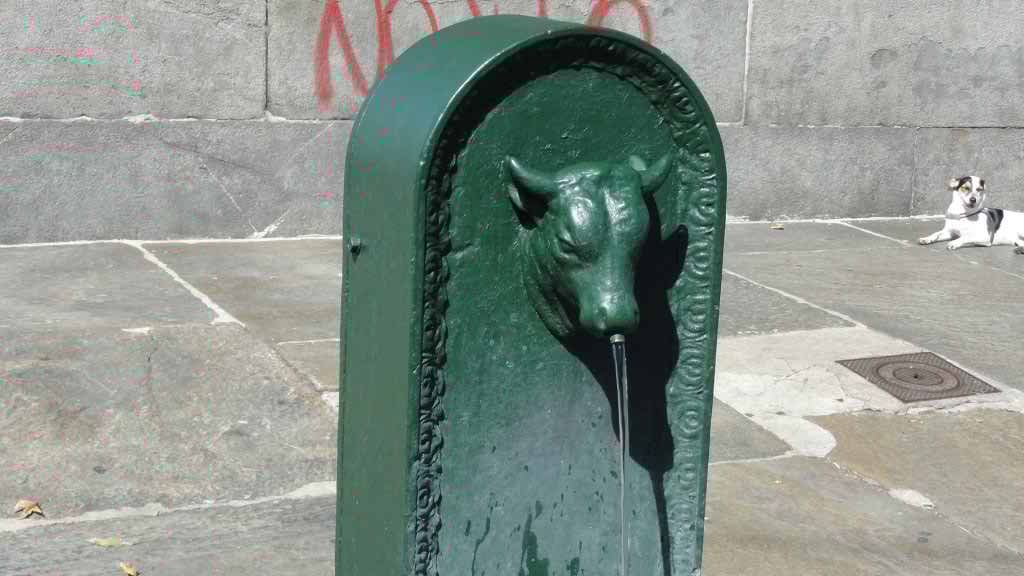 http://s5.picofile.com/file/8112290142/DSC01081.jpg