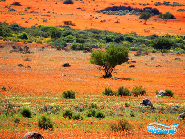 سرزمین ناماکوئالا سرزمین ناماکوئالا