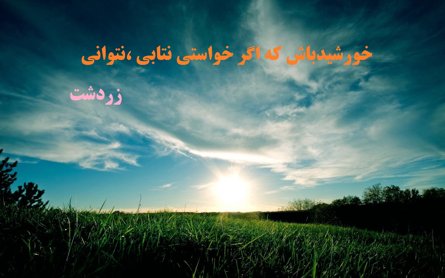 گوی دانش /محمدحسینی