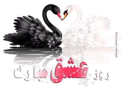 White_and_Black_Swans_with_Heart_Shape_PNG_Clipart.png