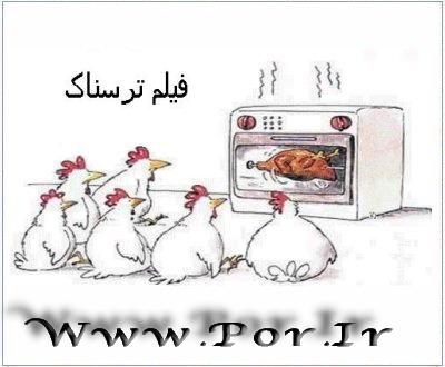 http://s5.picofile.com/file/8113417892/1991_t2.jpg