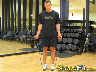 exercise_bands_two_arm_biceps_curls.gif