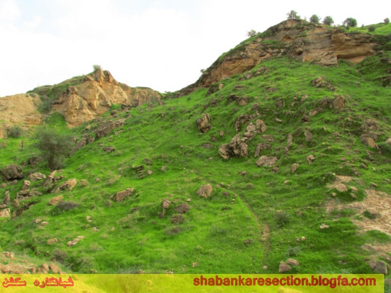 http://s5.picofile.com/file/8113968992/IMG_1725_1024x768_Copy_.jpg