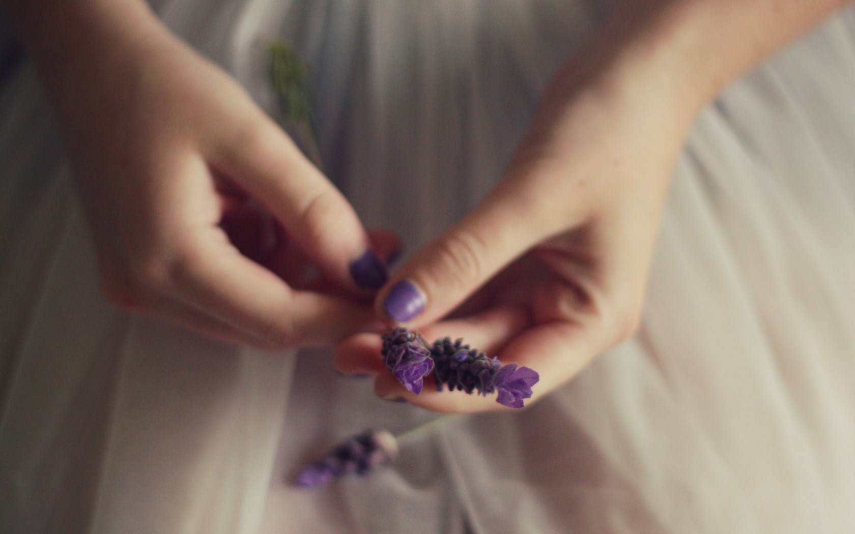 http://s5.picofile.com/file/8114126700/mood_girl_lavender_flowers_hd_wallpaper.jpg