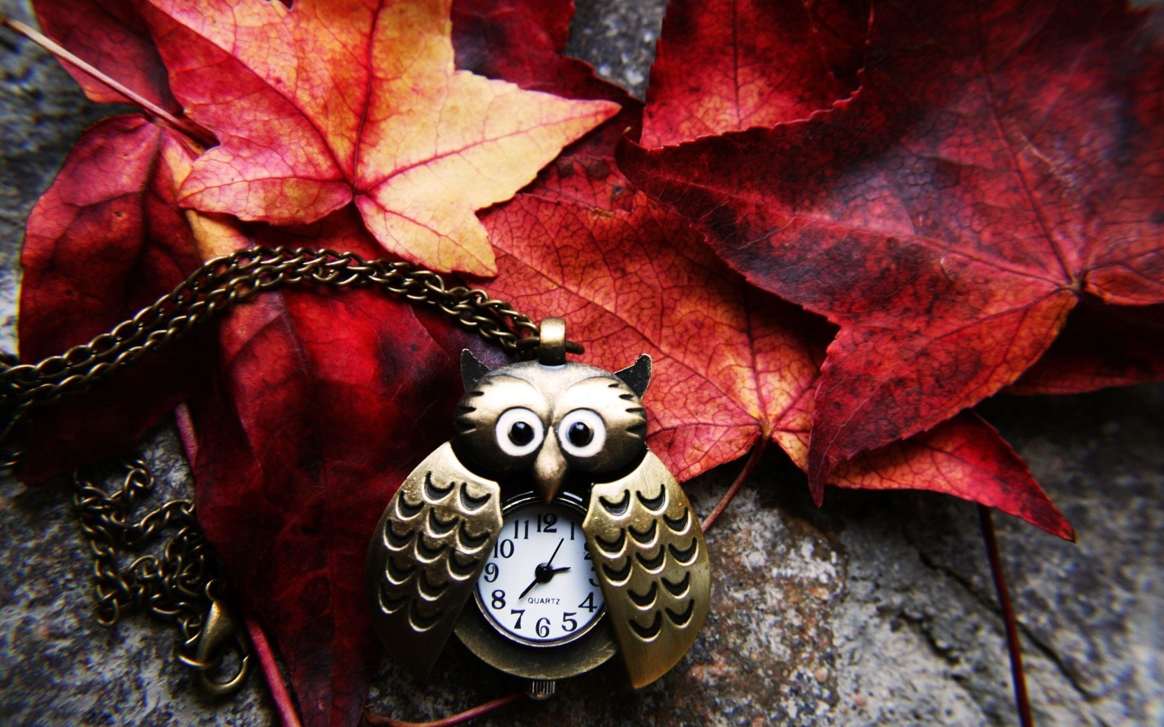 http://s5.picofile.com/file/8114127150/watch_owl_chain_pendant_leaves_autumn_hd_wallpaper.jpg