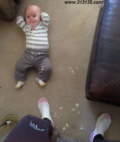 funny-pictures (16)