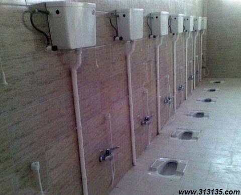 funny-pictures (38)
