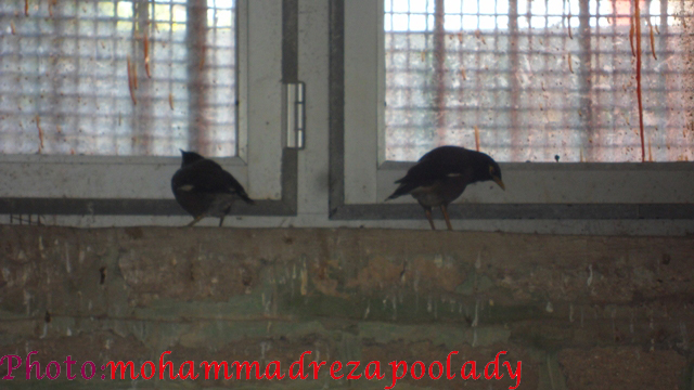 http://s5.picofile.com/file/8115939476/SAM_0025.jpg