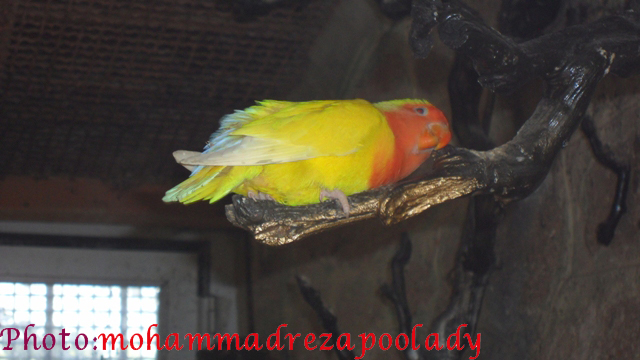 http://s5.picofile.com/file/8115939642/SAM_0030.jpg