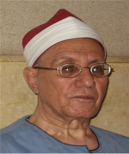محمد احمد شبیب