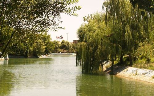 رودخانه پارک ملت+بهار و تابستان سبز مشهد