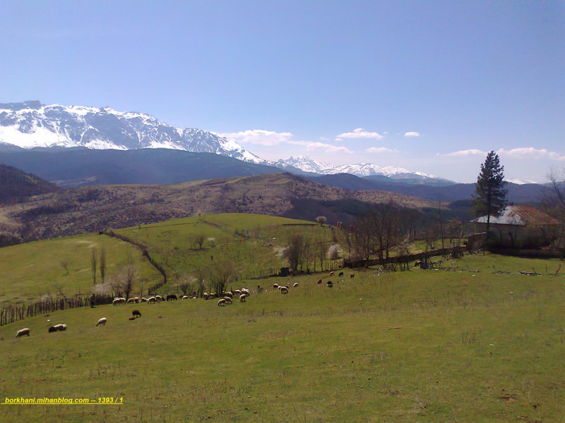 http://s5.picofile.com/file/8118301418/%D9%88%D9%84%DB%8C%DA%A9_%DA%86%D8%A7%D9%84_6.jpg