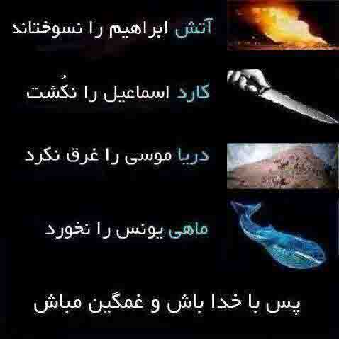 در یک پست...!