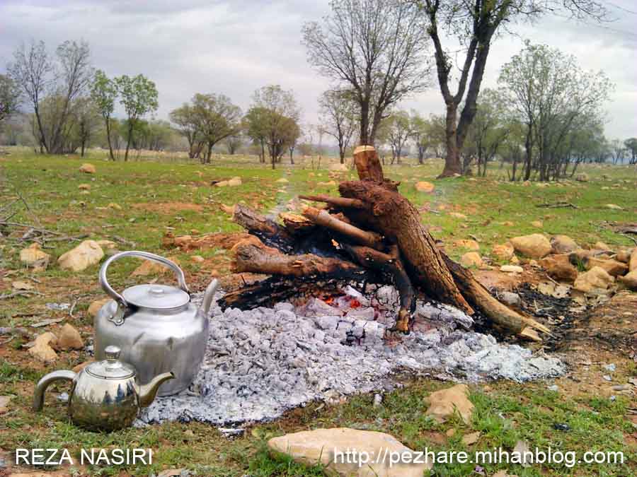 سیزده به در