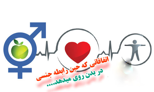 چه اتفاقاتی که در فرایند رابطه جنسی در بدن رخ میدهد؟ چه اتفاقاتی که در فرایند رابطه جنسی در بدن رخ میدهد؟