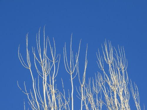 http://s5.picofile.com/file/8118985034/IMG_2728.jpg