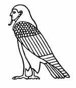 [تصویر: 10babird.jpg]