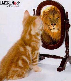http://s5.picofile.com/file/8119302184/cat.jpg