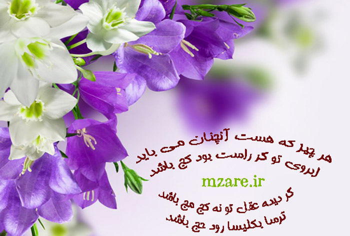 ساری , گاهنوشته های محمود زارع