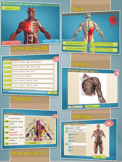 نرم افزار سه بعدی آموزش آناتومی Easy Anatomy 3D v5 (اندروید)