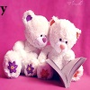 http://s5.picofile.com/file/8120465200/resolution_cute_teddy_bears_bear_292042.jpg