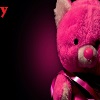 http://s5.picofile.com/file/8120465242/Pink_Love_Teddy_Bear_Wallpapers.jpg