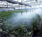 ارائه راهکارهای کاربردی در مصرف بهینه آب کشاورزی با روش گلخانه ای