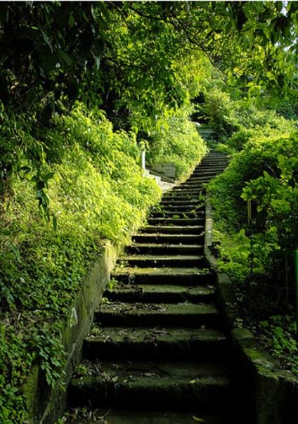 natural_green_stairs.jpg