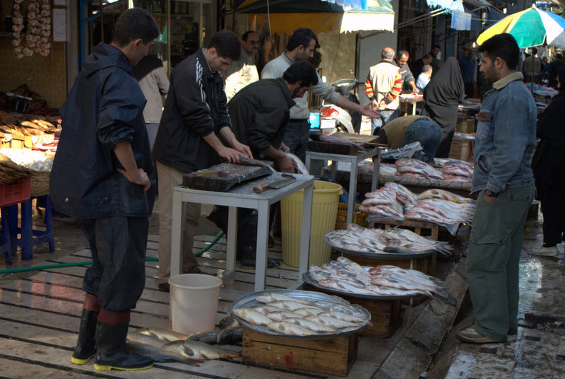 بازار ماهی فروشان لنگرود