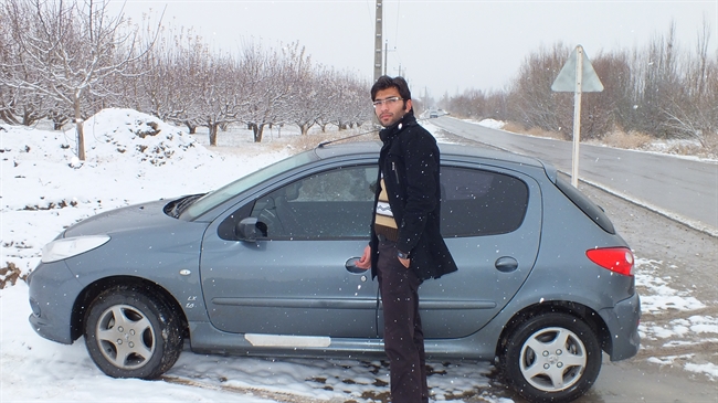 نقش هستی