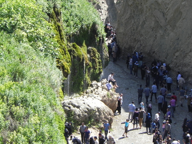 نقش هستی علیزاده
