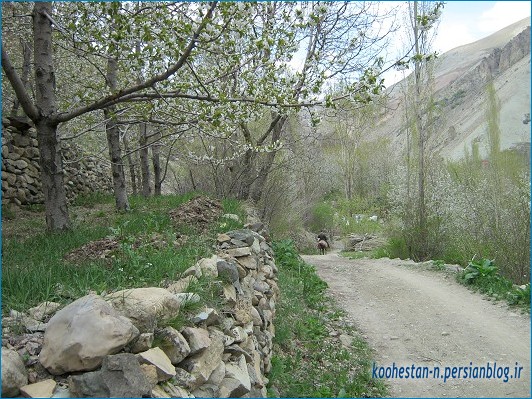 روستای شهرستانک - مسیر کاخ ناصری