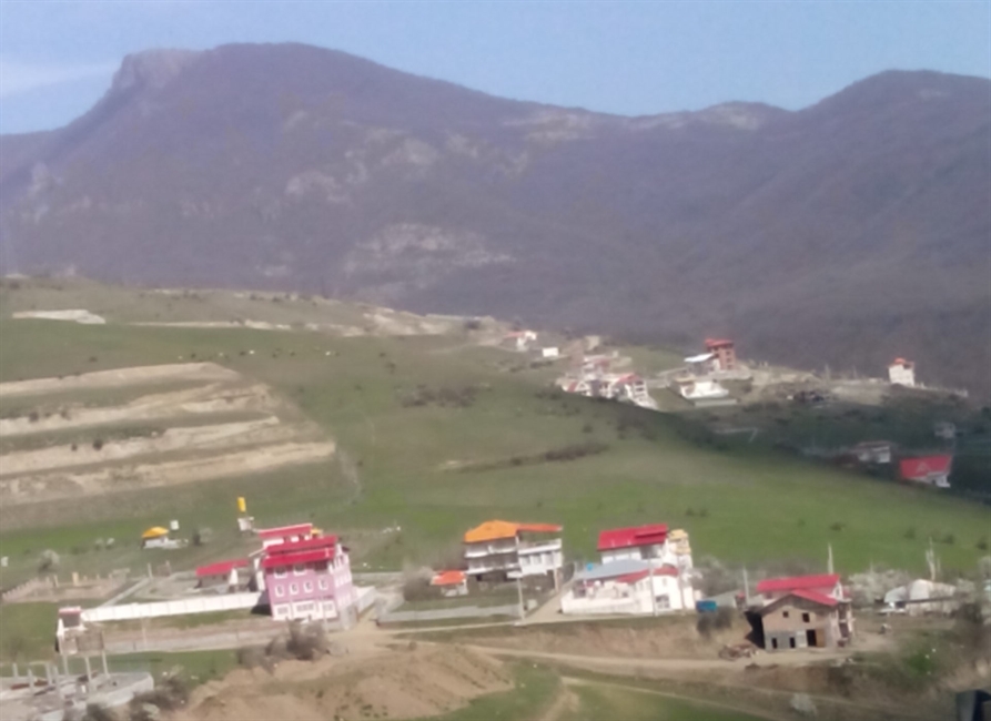 نقش هستی