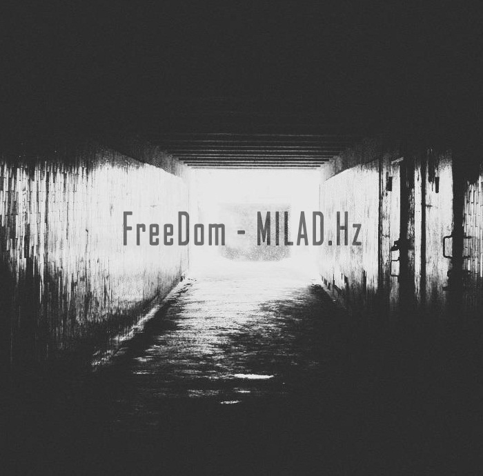 FreeDom - MILAD Hz